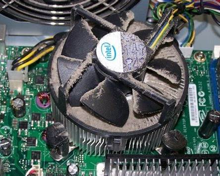 ほこりだらけの内部